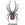 Spyder