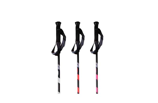 Goode Gmax Pole