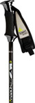 Ski Poles