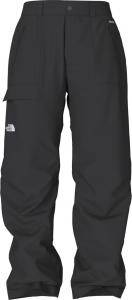 The North Face Seymore Ski Pant - Mens