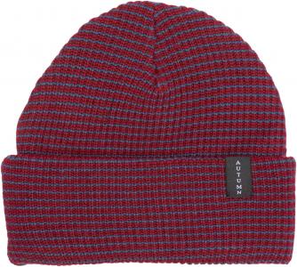 Autumn Stripe Beanie