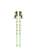 Ski Poles